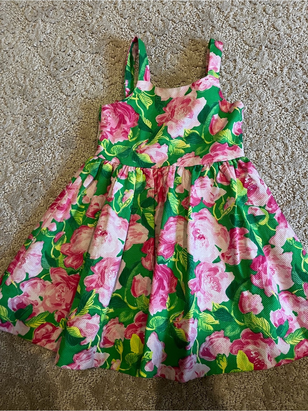 Janie and Jack Pink Floral Dress with Green Leaves
